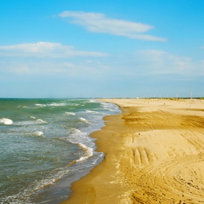 Beach at Delta de l'Ebre Natural Park Beach at Delta de l'Ebre Natural Park