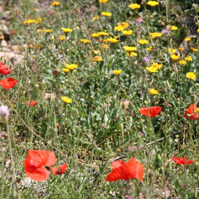 Catalonia Inspirational Nature