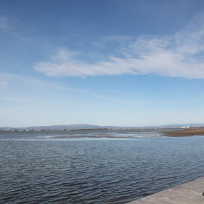 Delta de l'Ebre Catalonia