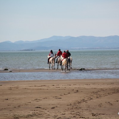 Mon Natura Delta de l'Ebre Horse Riding