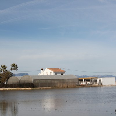 MonNatura Delta de l'Ebre Houses surrounded by Paddy fields