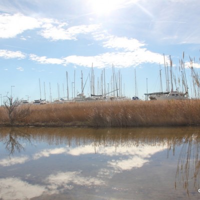 Delta de l'Ebre looking at Sant Carles de la Rapita