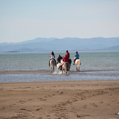 Delta de l'Ebre beaches Catalonia Delta de l'Ebre beaches Catalonia