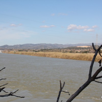 Views from Amposta Bridge Views from Amposta Bridge