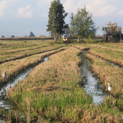 MonNatura Delta de l'Ebre Spain