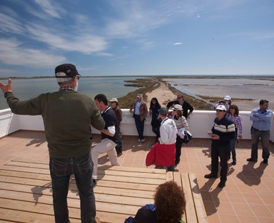 monnatura delta de l'Ebro Spain
