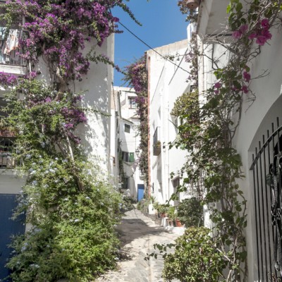 Cadaques Street With Flowers