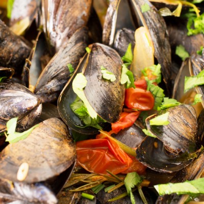 Mussels Delta de l'Ebre Festival Mussels Delta de l'Ebre Festival