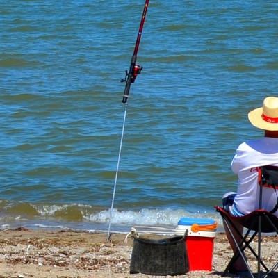 Day of the Oyster from the Delta and Gastronomic Days L’Ampolla